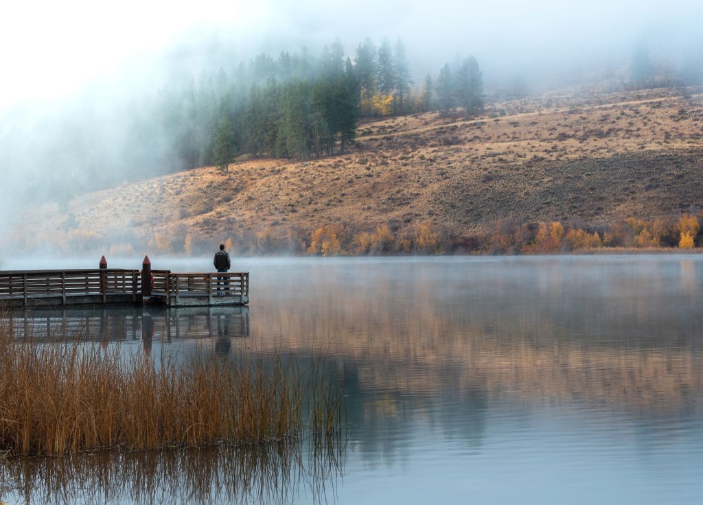 Your Coach Sonja Carson Free initial half hour consultation Twisp, WA Methow Valley Life Coach