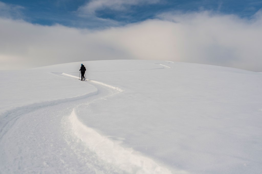 Your Coach Sonja Carson Free initial half hour consultation Twisp, WA Methow Valley Life Coach