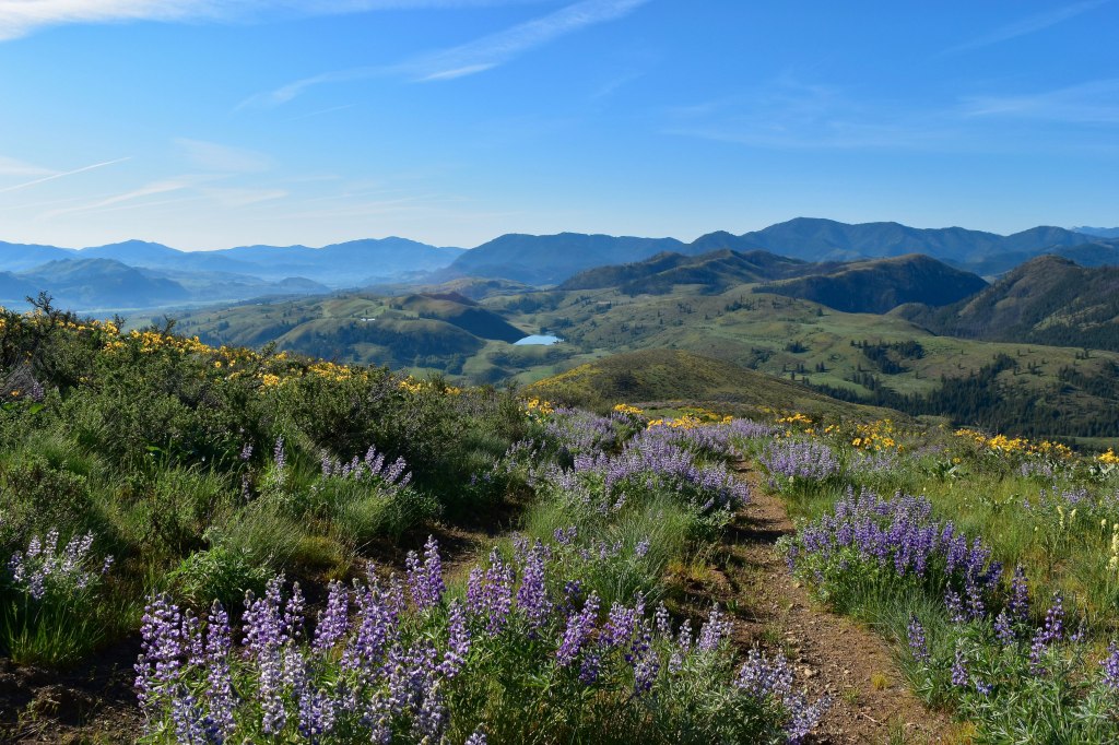 Your Coach Sonja Carson Free initial half hour consultation Twisp, WA Methow Valley Life Coach